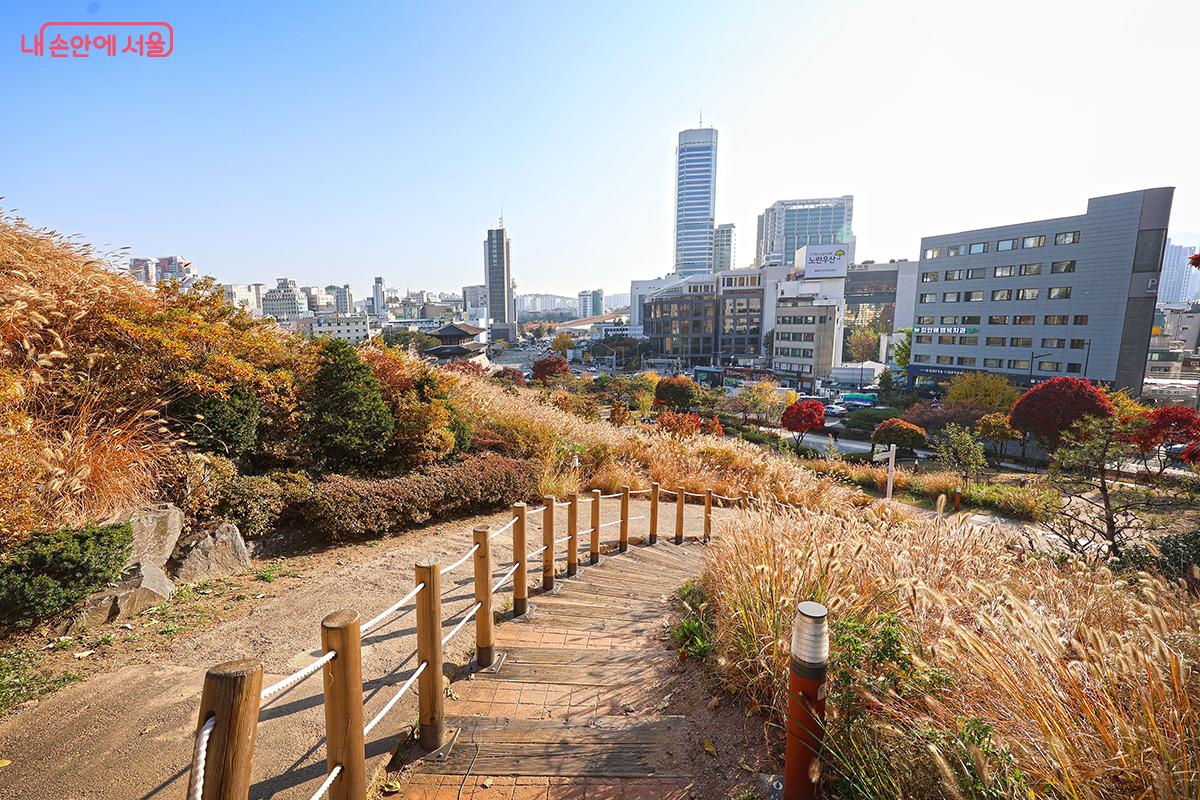 곱게 물든 오색빛의 흥인지문공원을 걷다 보면 가을이 마음속으로 들어온다. ©김주연