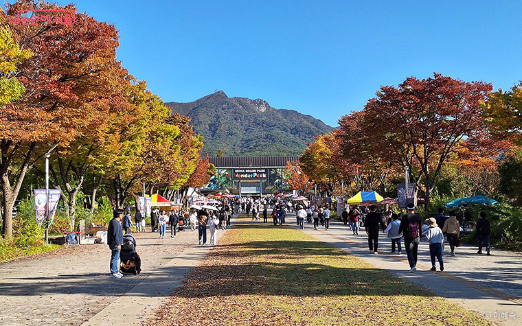 단풍으로 물든 서울대공원은 가족 나들이로 최고의 장소다. 