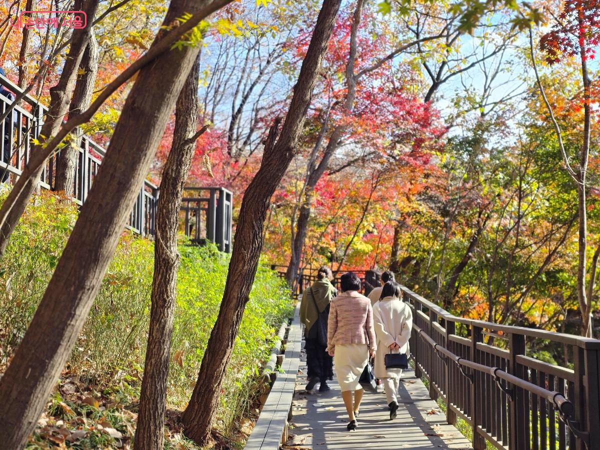 아차산동행숲길은 경사가 완만하고 데크가 잘 정비되어 있어 산책하기 좋다. ©김은주