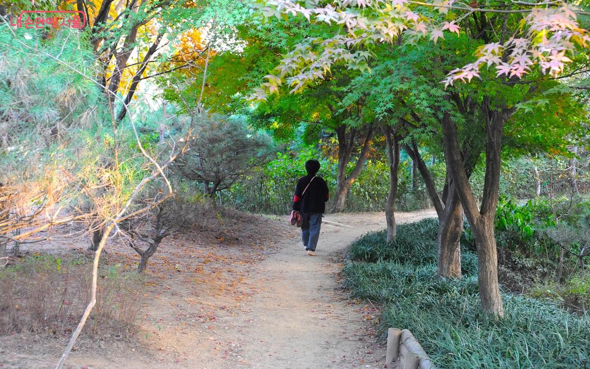 데크 길 외에도 잘 정비된 일반 산책로를 탐방객들이 맨발로 걷고 있다. ©조수봉