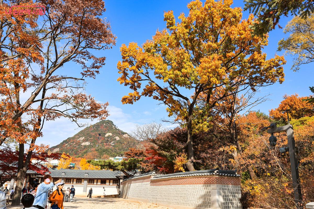 고풍스러운 전각들과 단풍이 어우러진 만추(晩秋) 풍경이 아름답다. ⓒ박우영