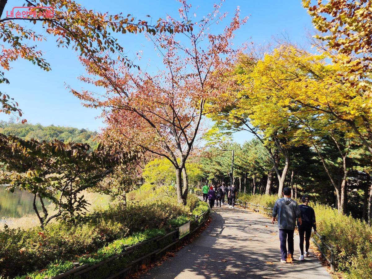 서서울호수공원은 가을 소풍을 즐기기 좋은 곳이다. ©김은주