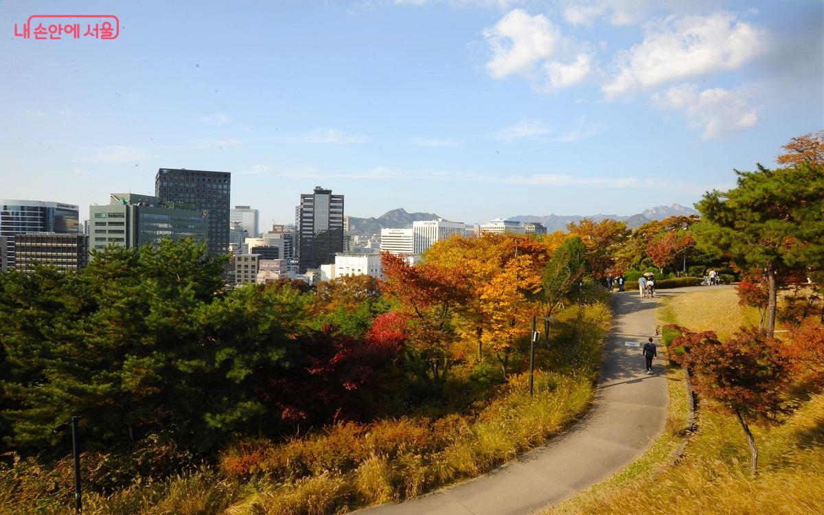 백범광장에서 바라다보니 서울 도심이 숲속에 있는 듯하다. ©조수봉