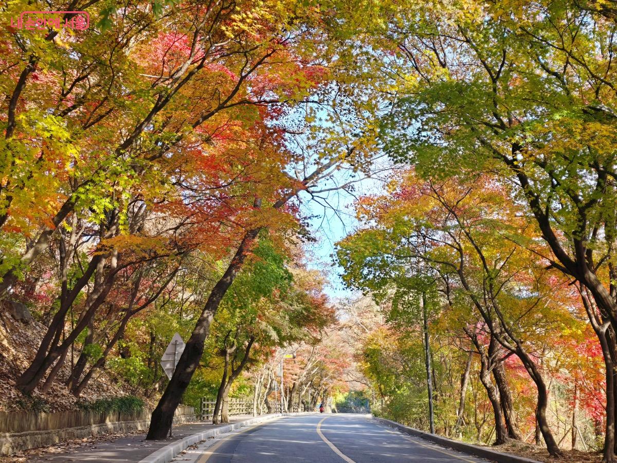 워커힐 호텔로 이어지는 길은 한적하면서도 아름다운 경치가 돋보이는 곳이다. ©김은주