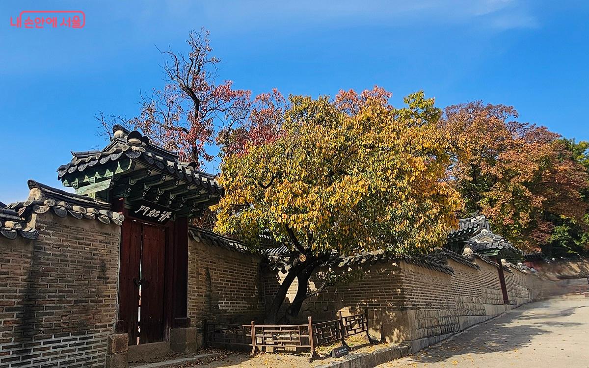 곳곳이 가을빛으로 물들고 있는 창덕궁 궐내각사 ⓒ권연주