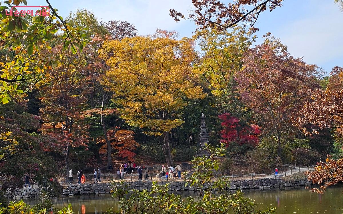 춘당지 둘렛길은 가을을 즐기며 산책하기 딱 좋다. ⓒ권연주