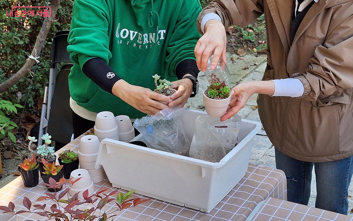 작은 화분 안에 다육이를 심으며 느끼는 설렘은 잊지 못할 추억으로 남았다. ©이혜숙