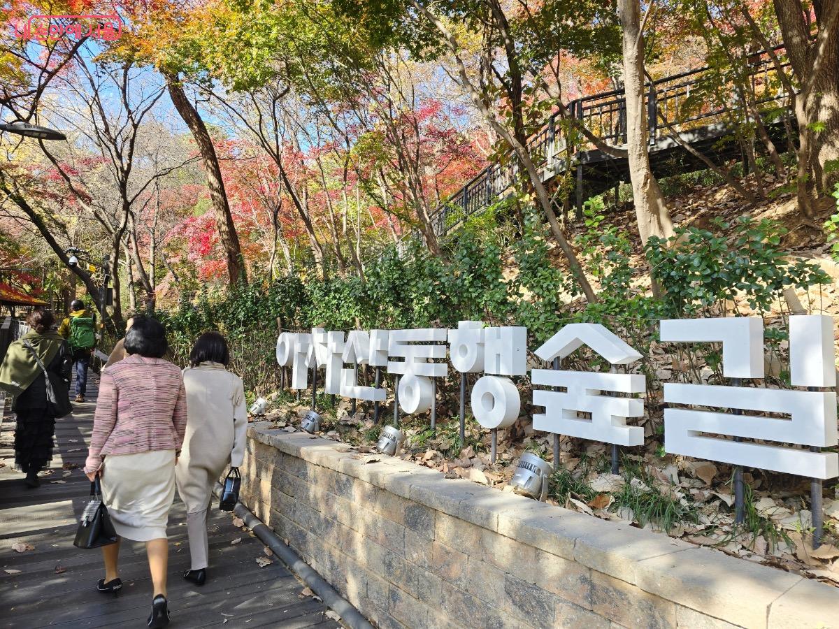  아차산동행숲길은 아차산 기슭에 조성된 1,380m 길이의 산책로다. ©김은주