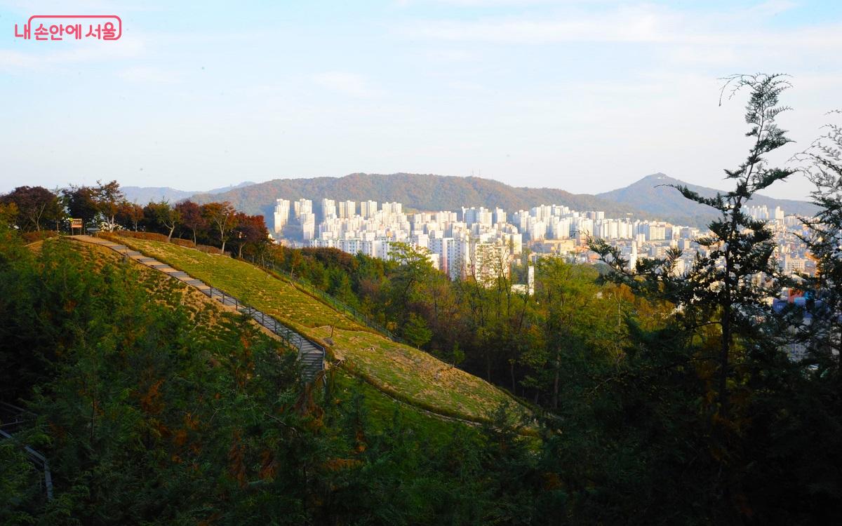 데크 길에서 본 반대편 능선의 초지는 봄에 꽃을 피우는 꽃잔디 단지다. ©조수봉