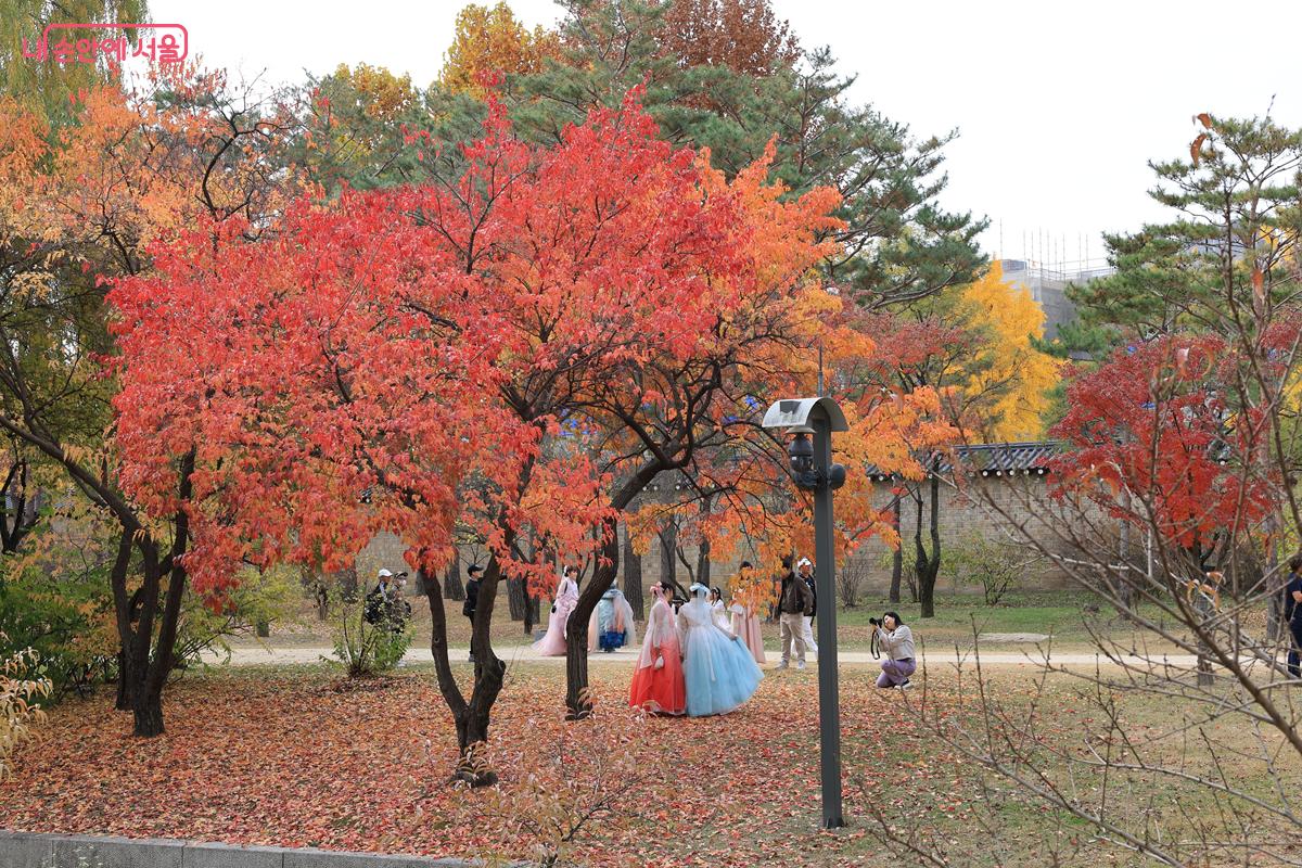 경회루 주변에서 사진을 찍는 방문객들의 모습. ⓒ박우영