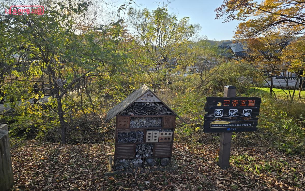 서울에 살면서도 아직 방문해 보지 못한 이들에게 꼭 추천하는 필수 추천 장소이니 꼭 가보기를 바란다. ⓒ염지연