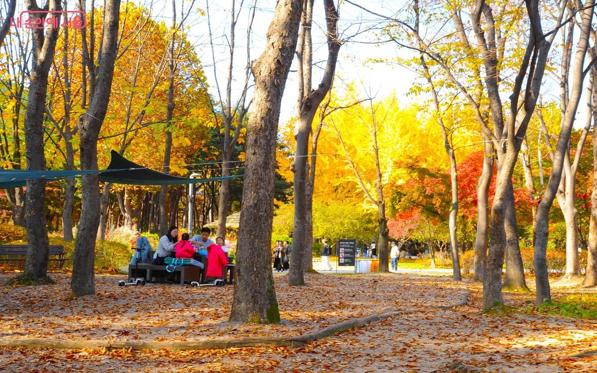 숲속 쉼터에서 가을을 즐기는 가족들을 볼 수 있다. ©조수봉