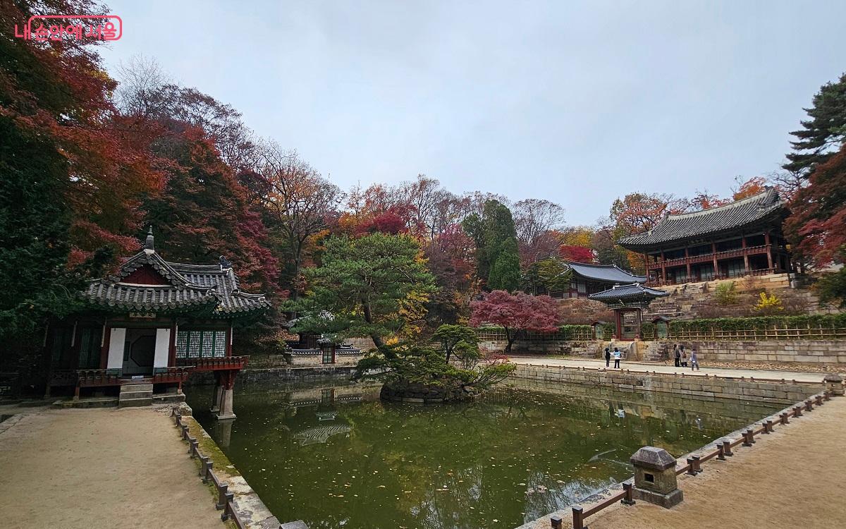 가을바람을 즐기며 부용지를 관람했다. ⓒ권연주