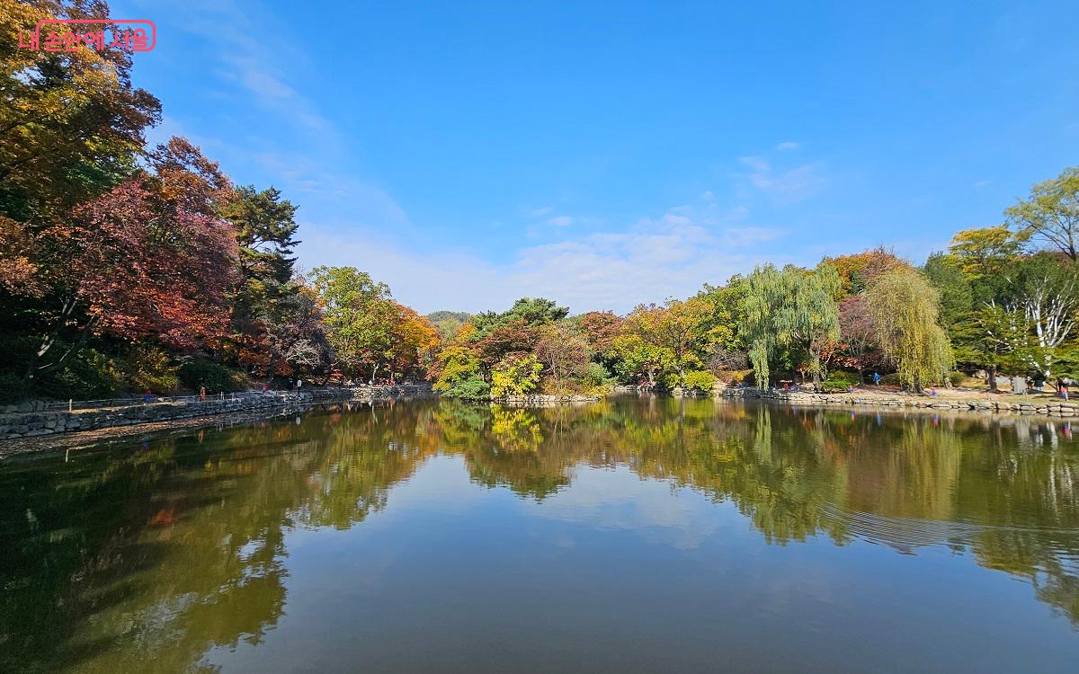 춘당지를 거울 삼은 가을 나무, 가을하늘 ⓒ권연주