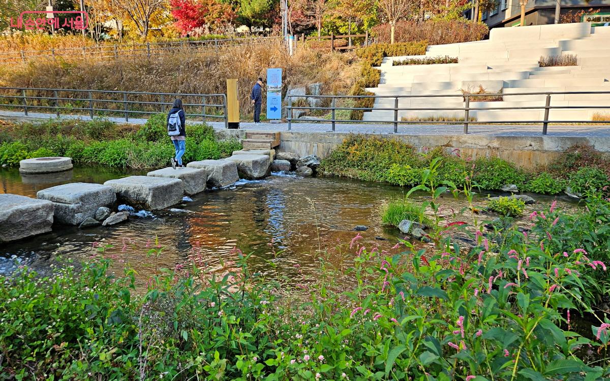 한 시민이 세곡천 돌다리를 건너고 있다. ⓒ이선미 