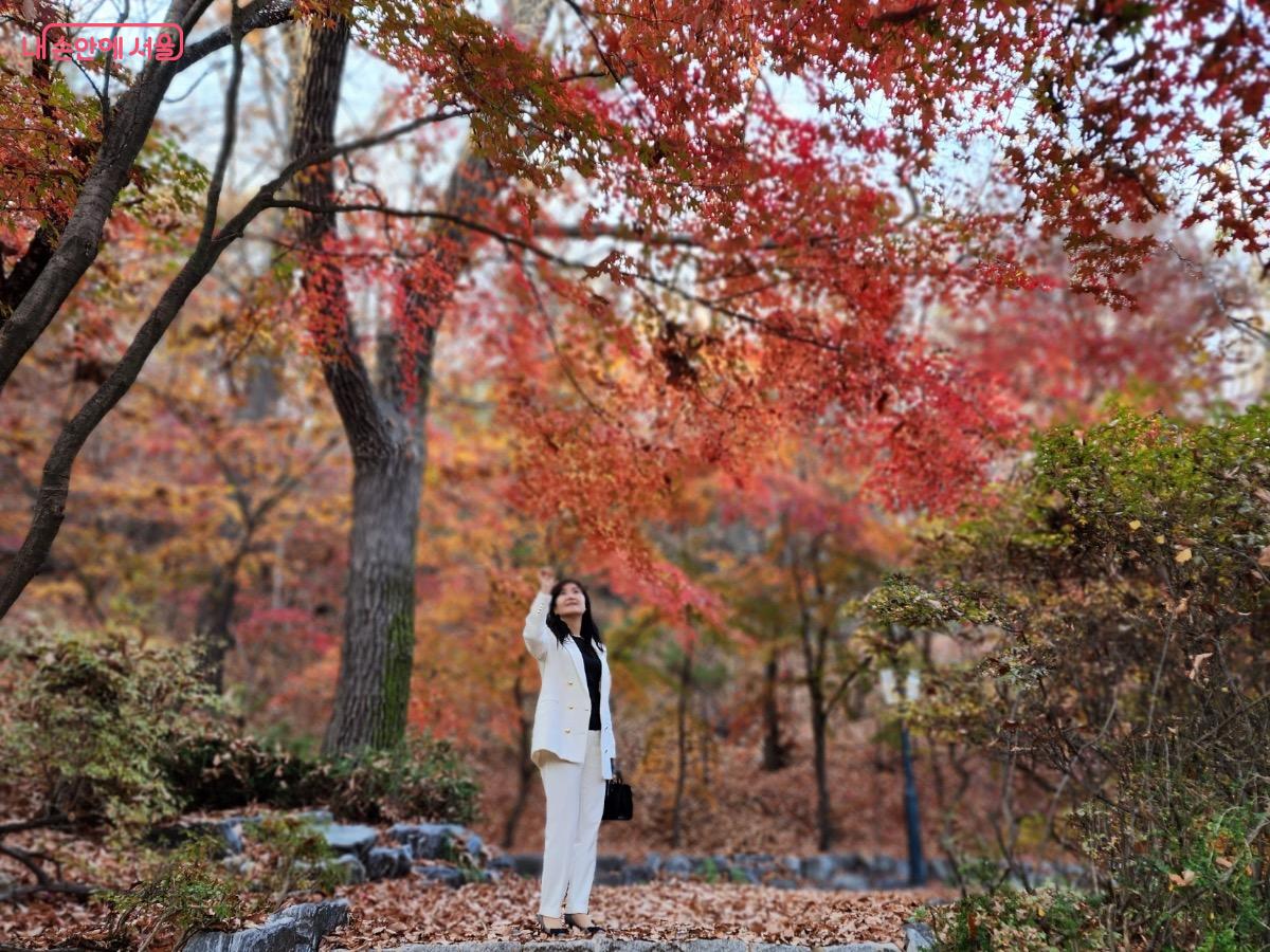 고려대 다람쥐길은 아름다운 단풍으로 유명한 포토존이다. ©김은주