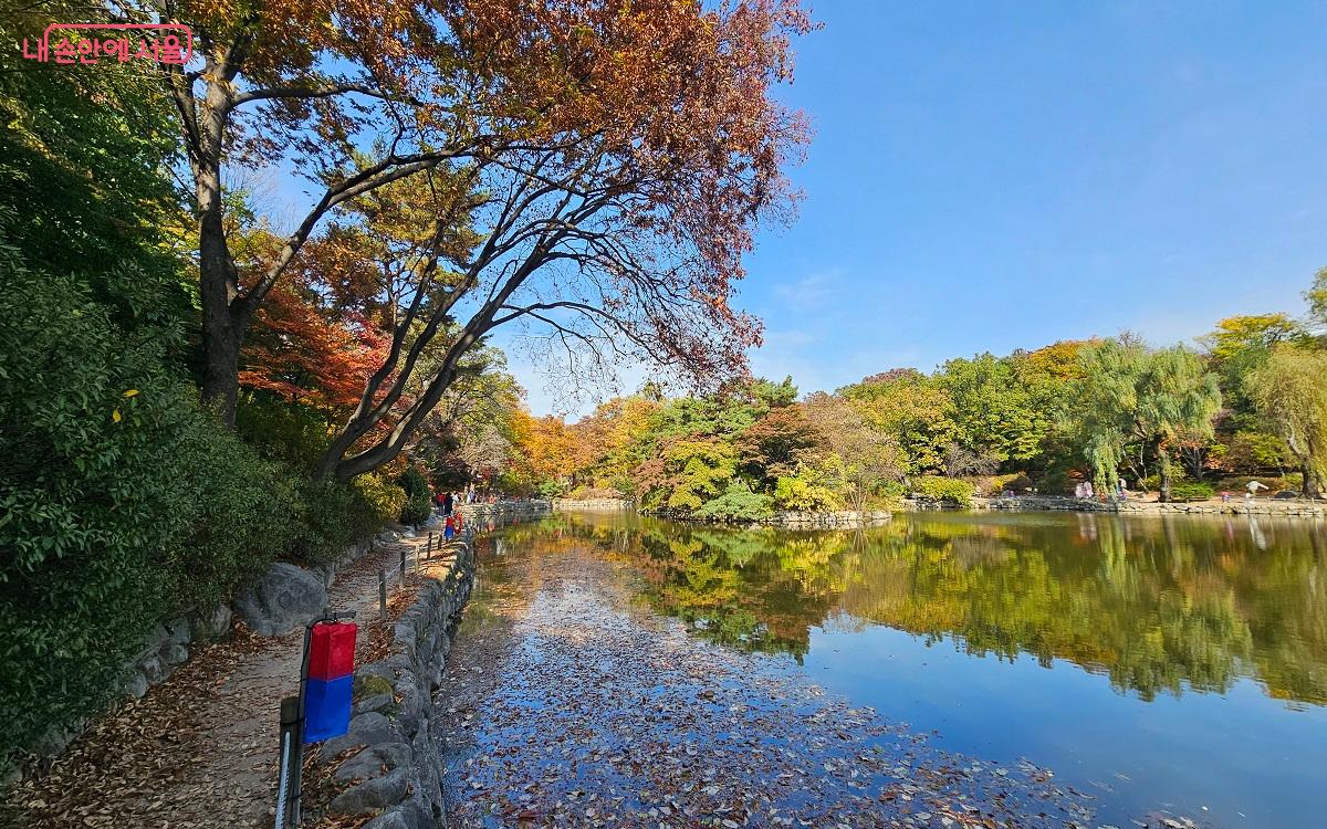 낙엽을 밟으며 산책하기 좋은 춘당지 ⓒ권연주