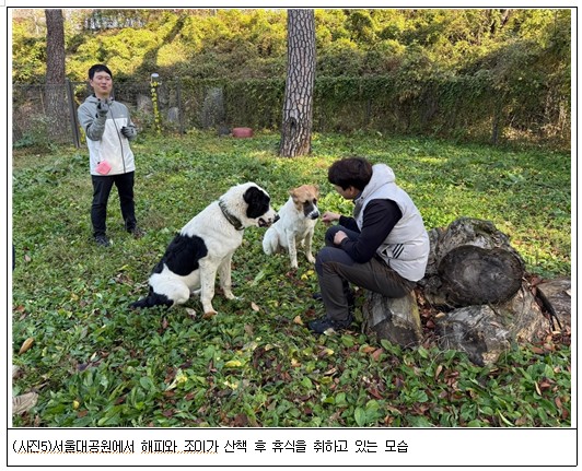 서울대공원 놀이터에서 해피와 조이가 휴식중인 모습