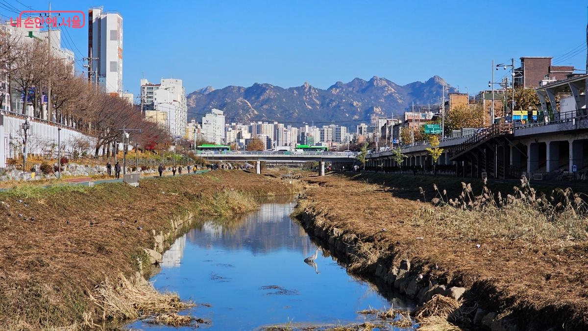 불광천 증산교에 오르면 북한산 백운대 일원이 품에 안길 듯 가깝게 다가온다. ©최용수