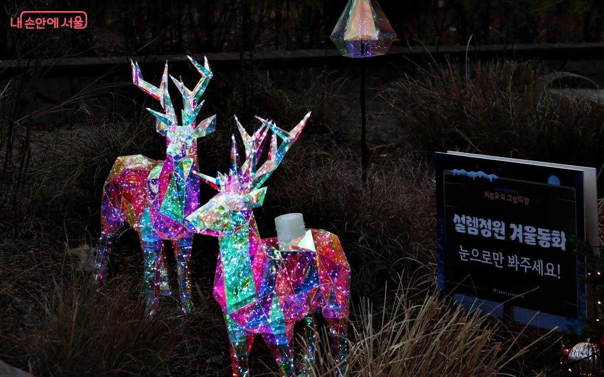 빛으로 만들어진 아름다운 풍경은 마치 동화 속 한 장면처럼 몽환적이고 아름다워 많은 사람들의 발길을 사로잡고 있다. ⓒ정향선