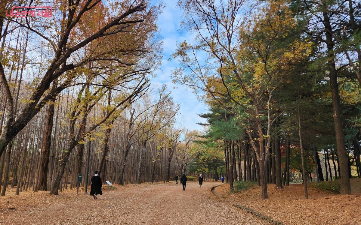 서울숲에는 다양한 정원이 있어 산책로에서 만나는 풍경도 볼만하다. ⓒ김미선