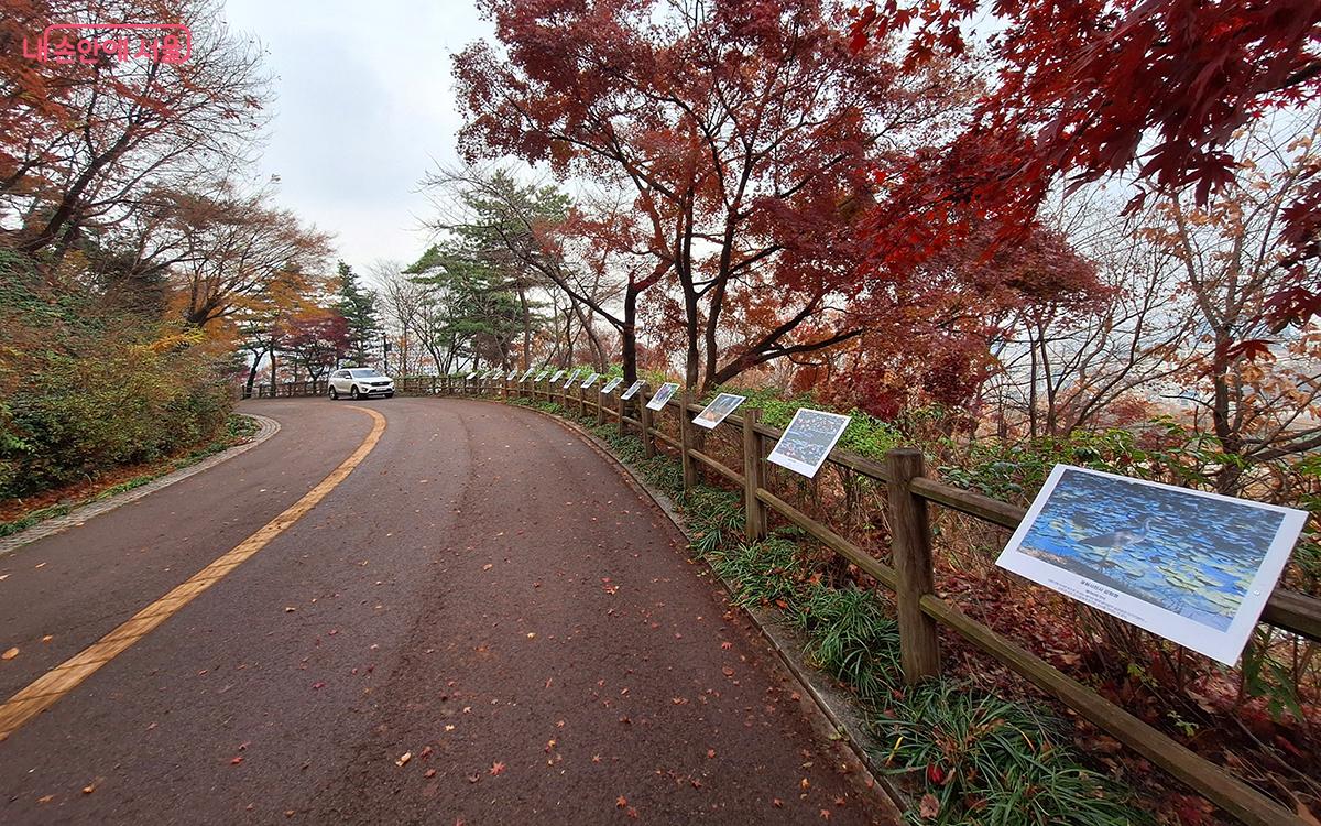 남산둘레길을 따라 공원사진 작가들의 다양한 작품을 전시한 '남산둘레길 갤러리' ©이혜숙