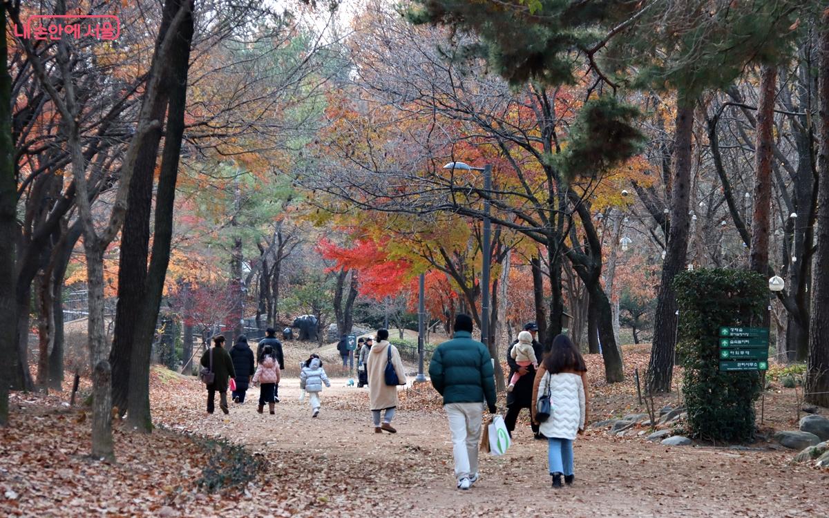 마지막 남은 가을의 흔적 따라 산책하는 시민들 ⓒ정향선