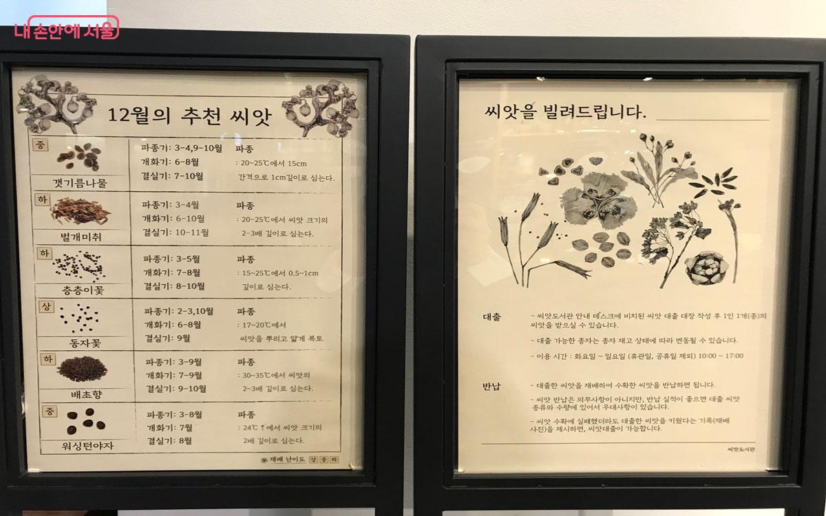 씨앗도서관의 12월 추천 씨앗과 대출, 반납 방법 안내판. ⓒ이정민