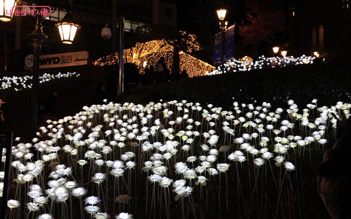 명동성당 앞쪽에 펼쳐진 LED 장미 꽃밭. 