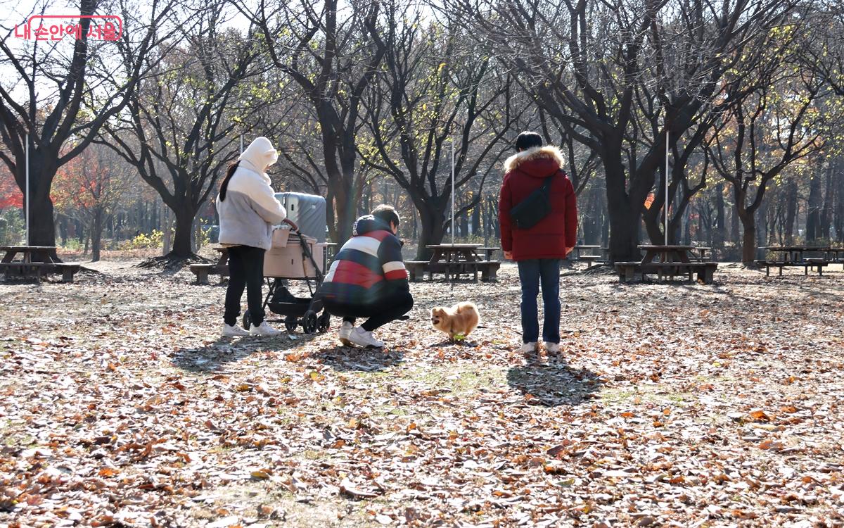 '서울숲 속 그림책방'은 단순히 그림책을 전시하는 공간을 넘어, 사람들에게 따뜻한 위로와 감동을 선사하는 문화공간이다. ⓒ정향선