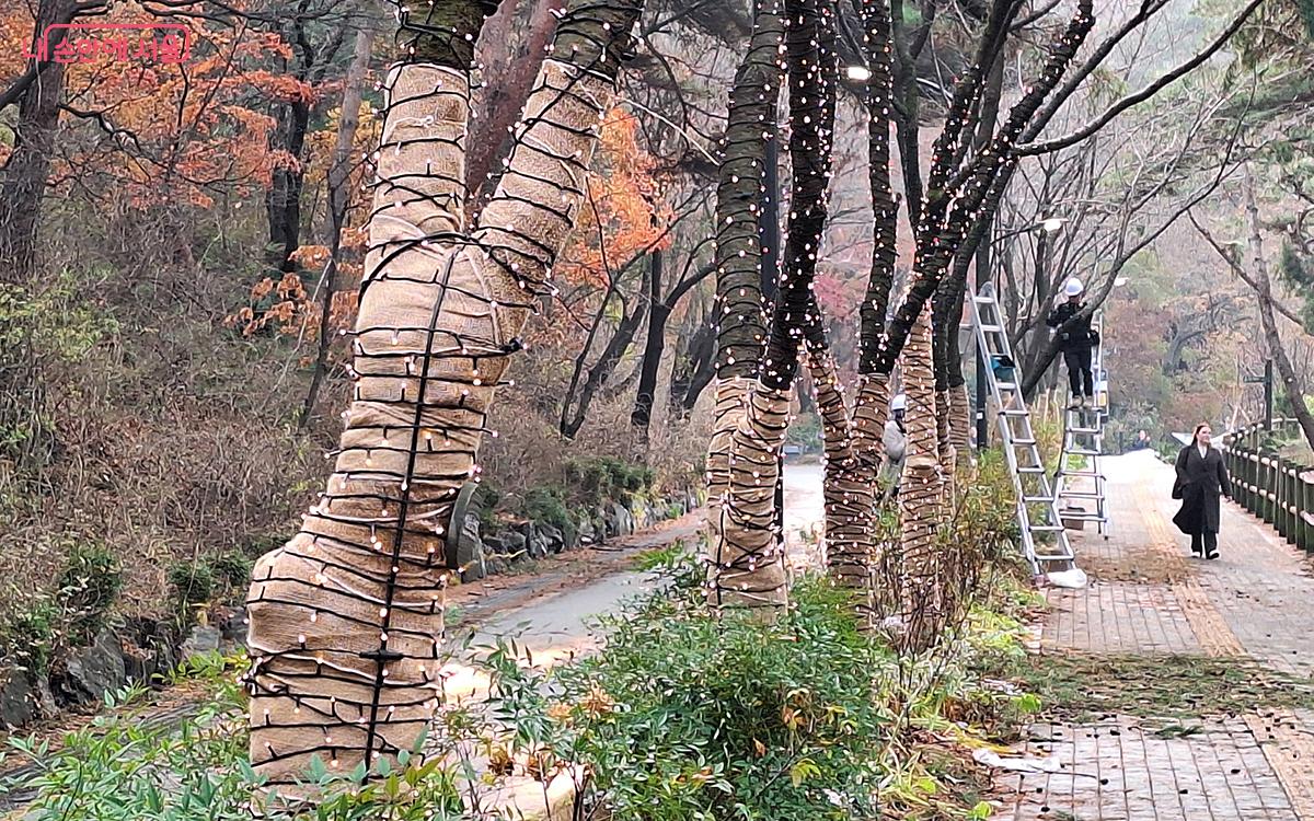 '사색(四色)의 정원'을  따라 늘어선 나무에 야간 점등행사에서 사용될 전구를 매다는 작업이 한창이다.  ©이혜숙