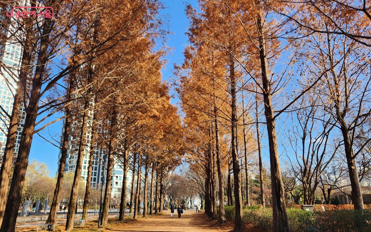 쌀쌀한 날씨지만, 서울숲 산책로를 거니는 시민들의 발걸음이 가볍다. ⓒ김미선