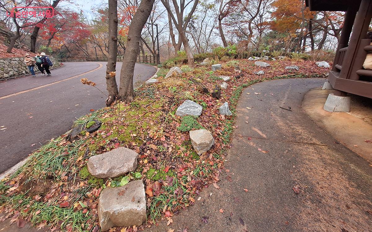 ‘그늘정원’은 경관석과 함께 좀눈향, 사초 등 상록식물을 적절히 배치했다. ©이혜숙