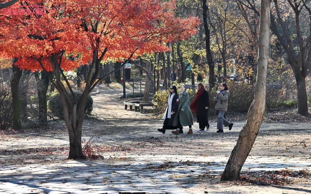 서울숲 산책길은 외국인 여행객들도 즐겨 찾는 명소이다. ⓒ정향선