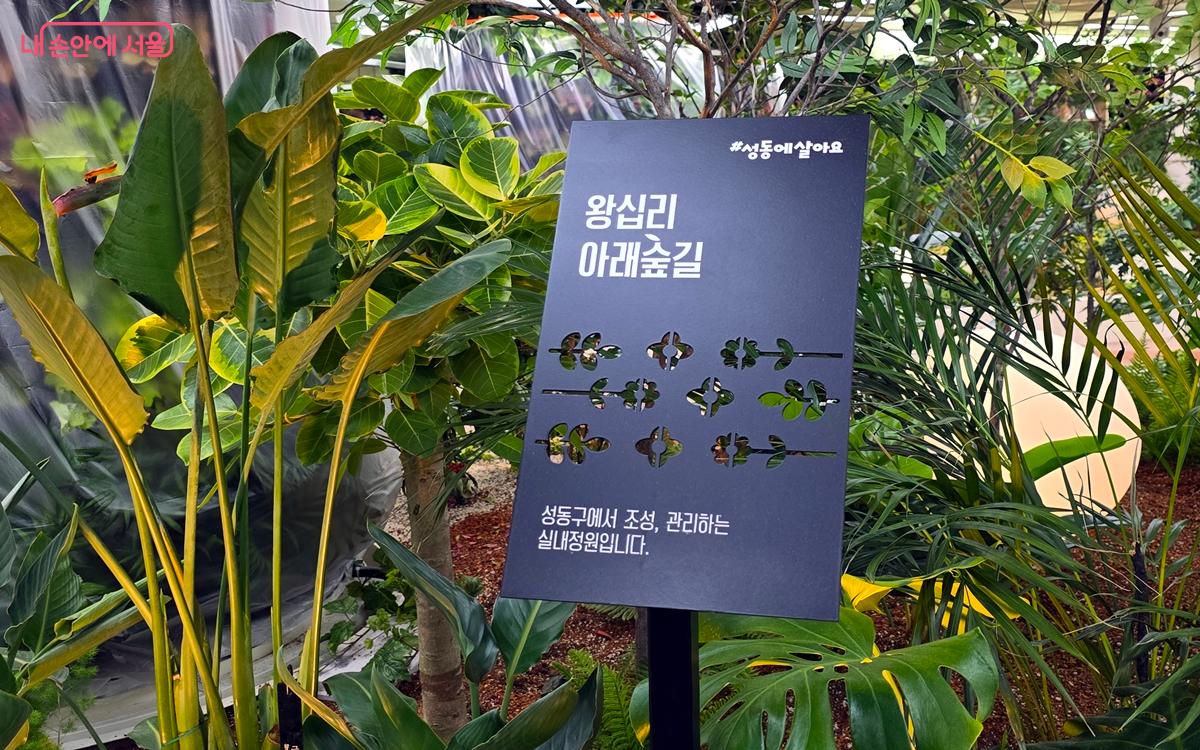 왕십리역 지하 유휴 공간을 활용해 ‘아래숲길’ 실내정원을 조성했다. ©김윤경