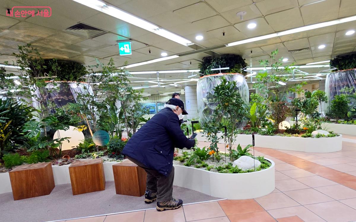 한 시민이 지하철역 안 식물을 보며 사진을 찍고 있다. ©김윤경