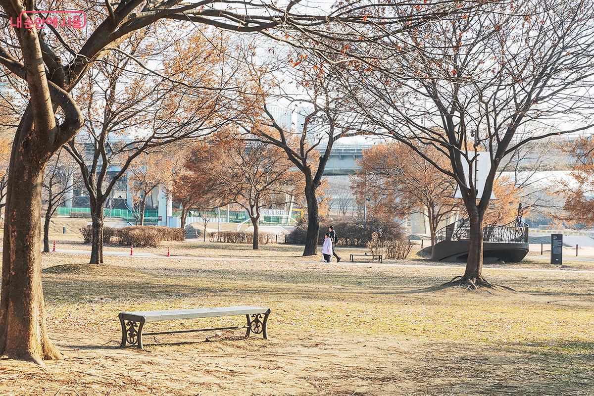 겨울의 광나무 한강공원, 고요하고 평화로운 분위기를 자아낸다. ©문청야