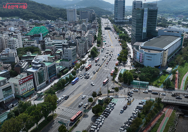 매헌시민의숲 공사 전 조감도. 가로변 버스전용차로가 설치돼 있다.