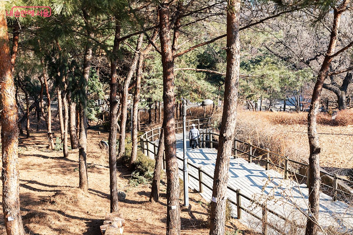 맑은 공기를 마시며 상쾌한 기분으로 석호정까지 걸었다. ©문청야