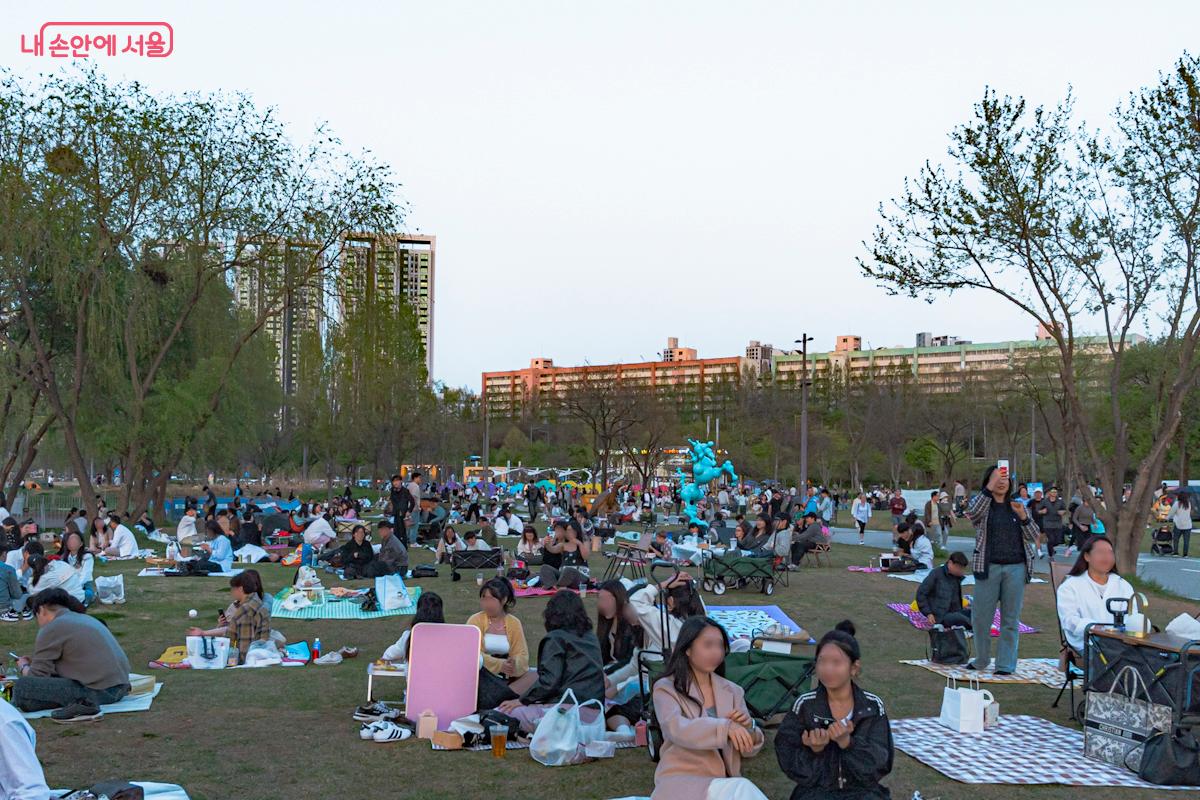 늦은 오후, 반포한공공원에서 피크닉을 즐기는 사람들의 모습