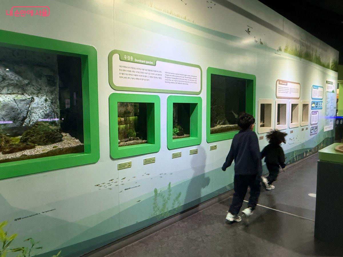 1층 전시실에서 살아있는 물고기를 볼 수 있어서 아이들이 정말 좋아한다. ©이미현