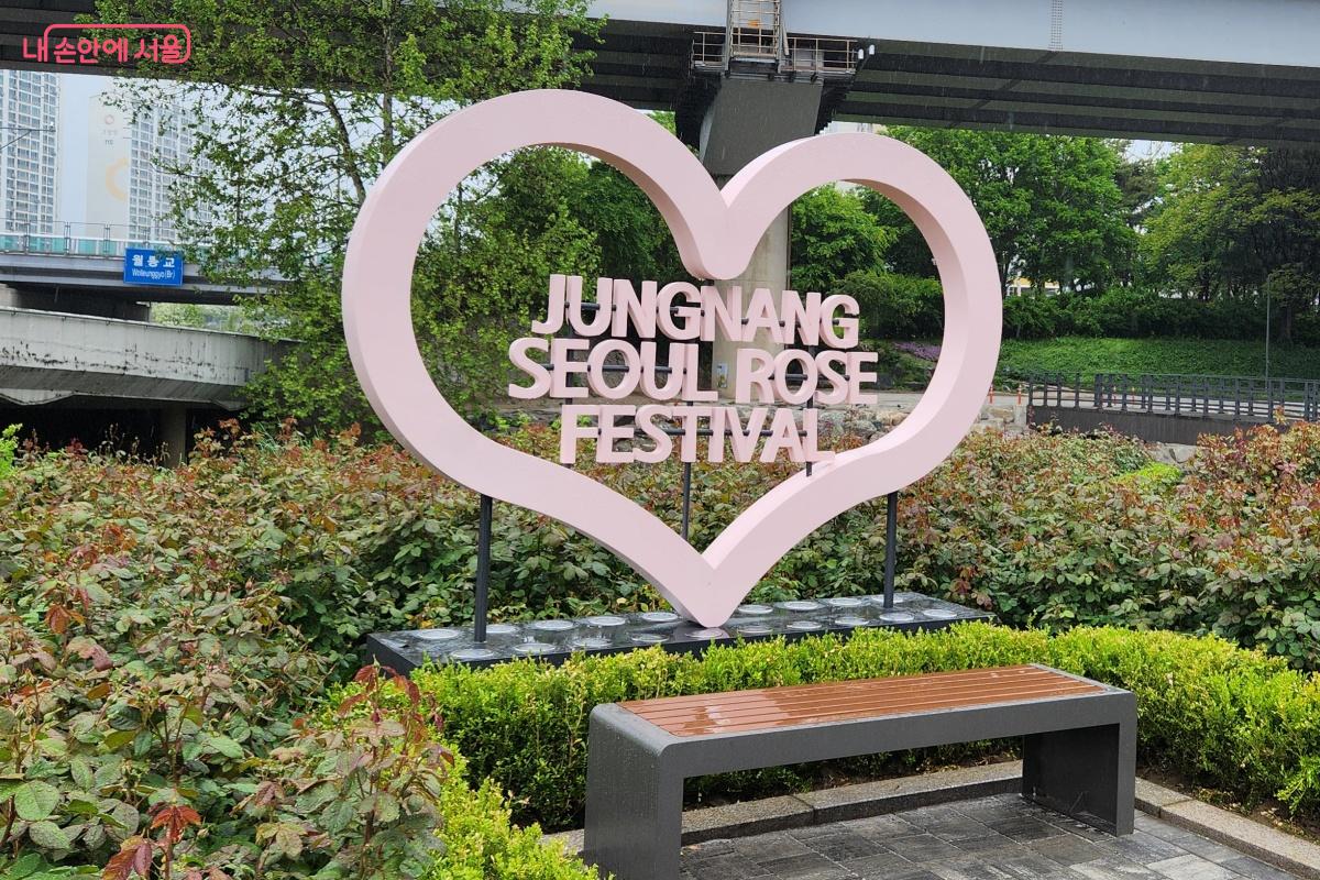 장미퍼레이드, 장미꽃빛거리, 로즈로드마켓, 로즈플레이가든, 버스킹 공연 등을 즐길 수 있다. ©김미선