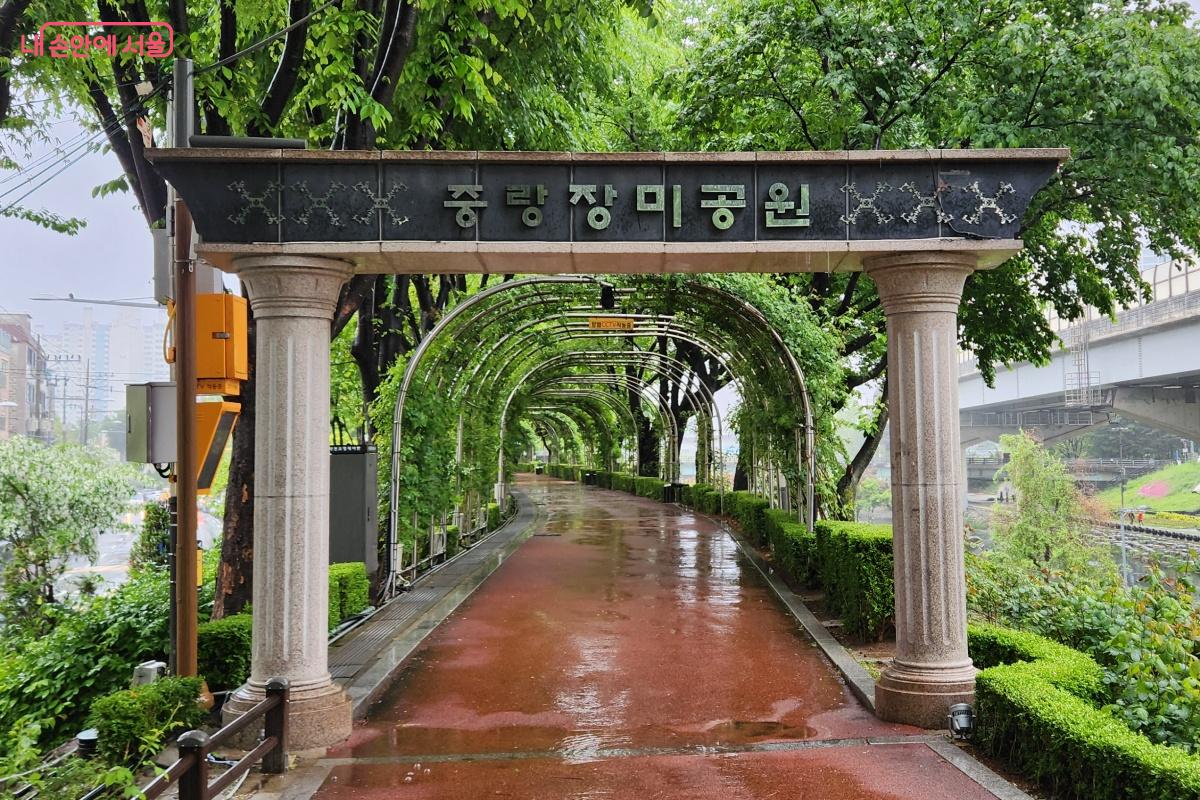 제방을 따라 조성된 ‘중랑장미공원’으로 발길을 향했다. ©김미선