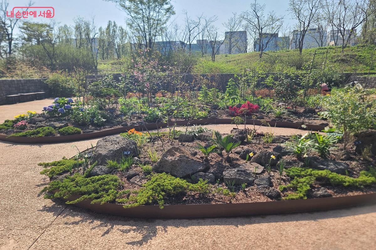 작은 정원에 돌과 꽃으로 꾸며진 앙증맞은 꽃밭Ⓒ박성애