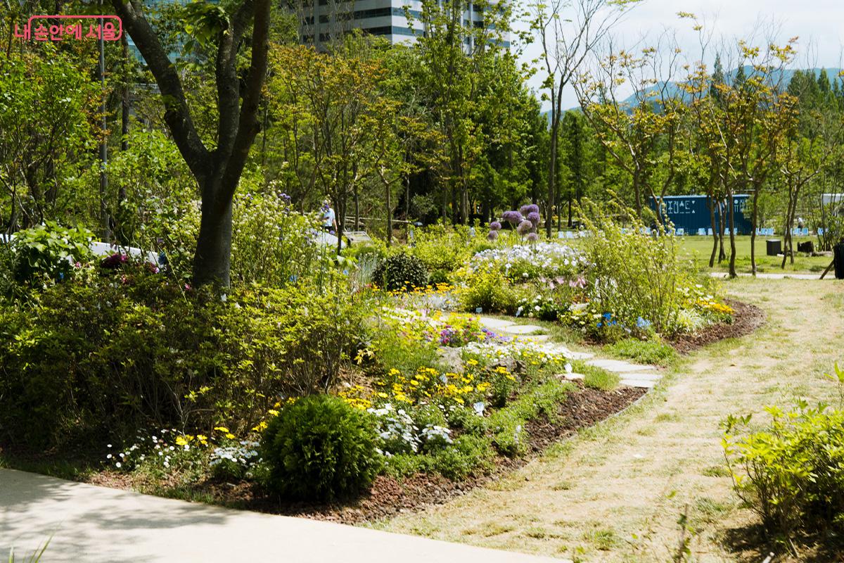 좁은 사잇길에 조성된 정원 Ⓒ최승훈