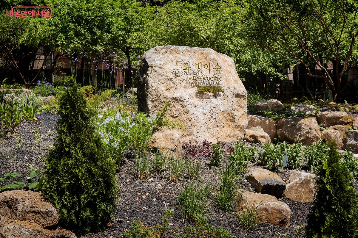 돌과 빛의 숲을 표현하는 대형 바위 Ⓒ최승훈