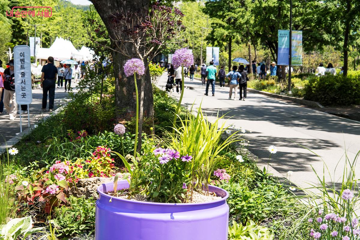 공원 보행로 중앙에 심어진 화려한 식물 Ⓒ최승훈