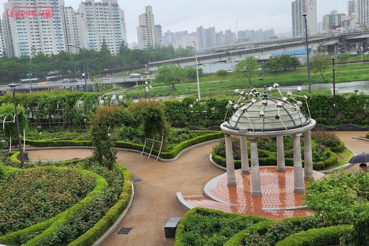 중랑장미카페 테라스에서는 장미공원이 한 눈에 들어온다. ©김미선