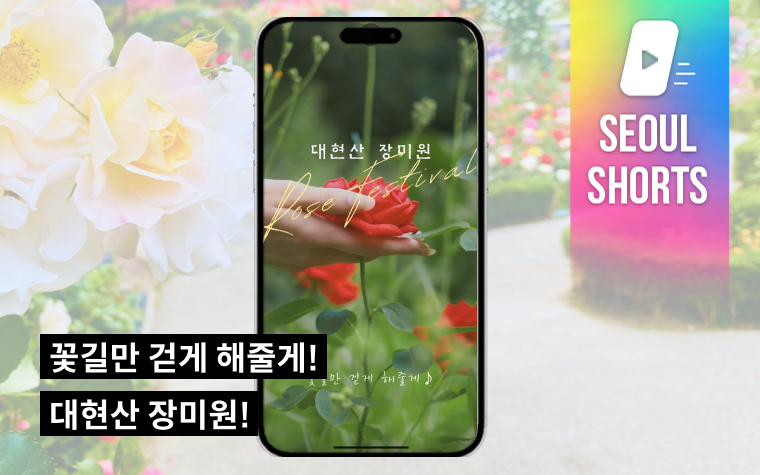 꽃길만 걷게 해줄게! 또 하나의 빼놓을 수 없는 장미 명소 '대현산 장미원' 