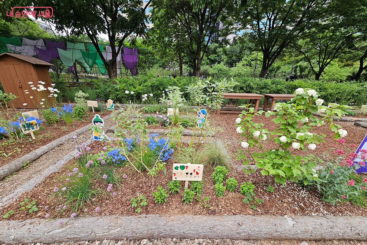 '오감체험정원(꼬마 정원사)'에 어린이들이 심어 놓은 꽃들이 앙증맞게 피어있다. ©정향선